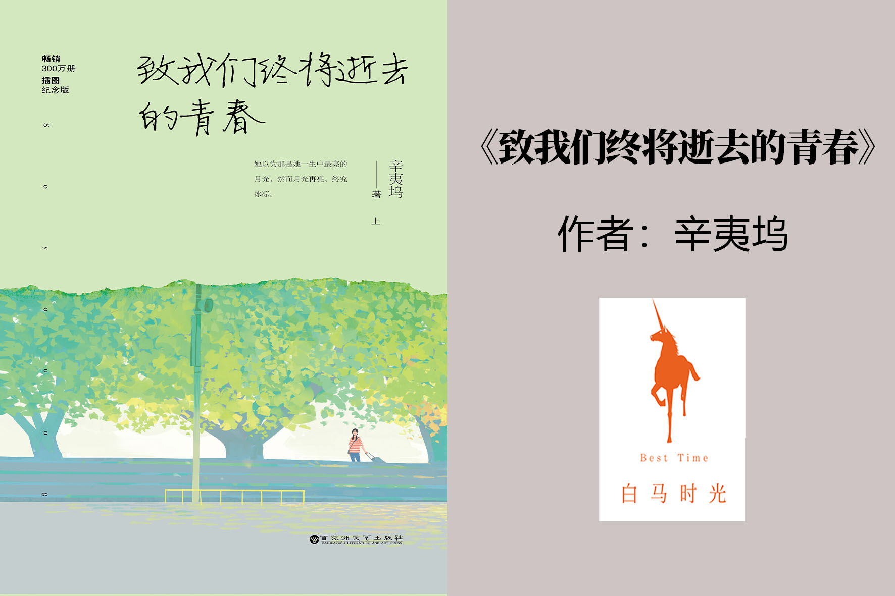 《致我们终将逝去的青春》