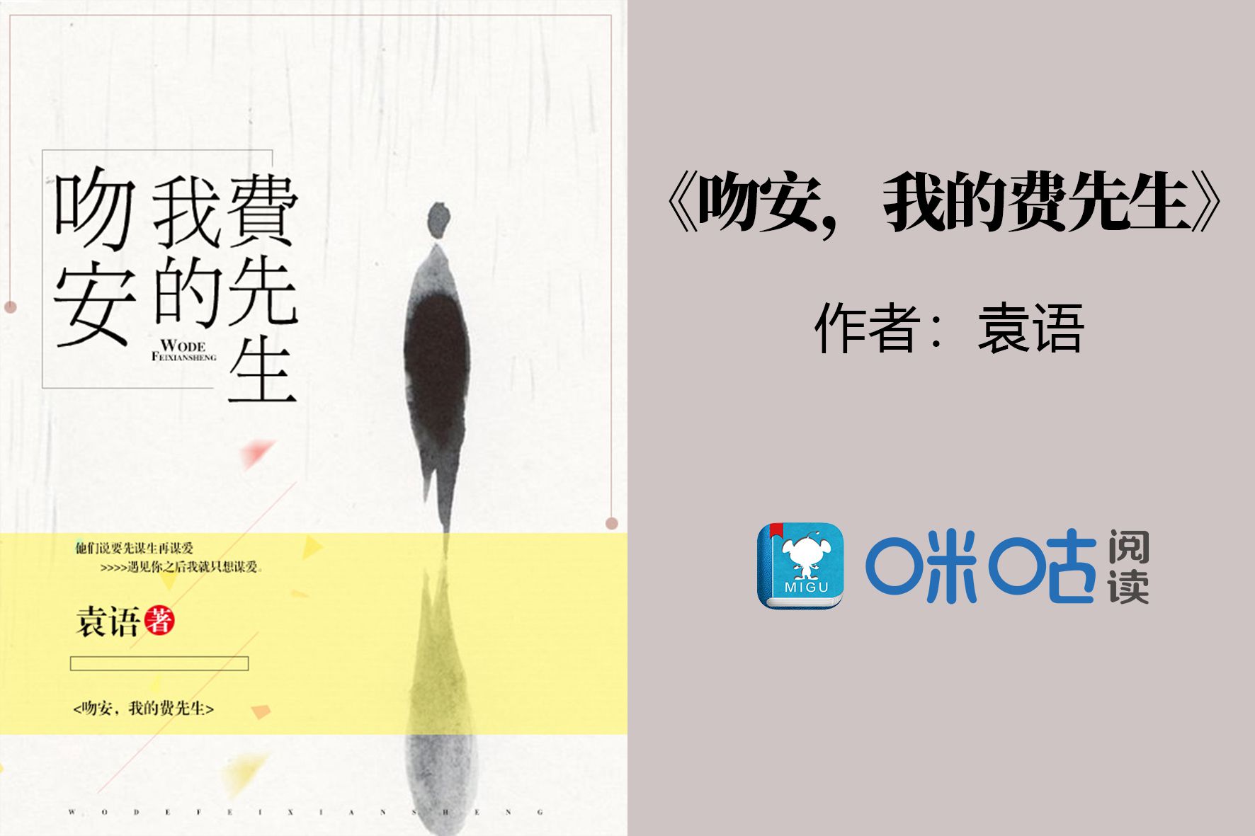 《吻安，我的费先生》