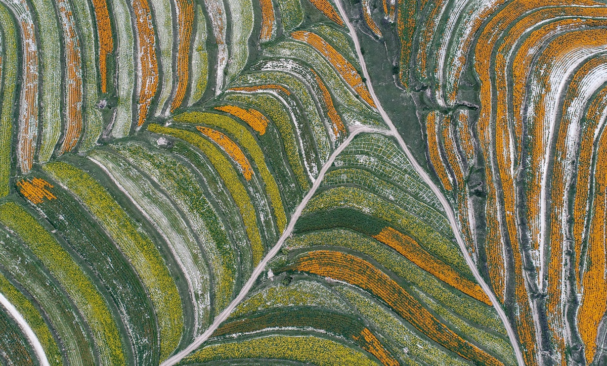 生态中国·塞上江南沙水依