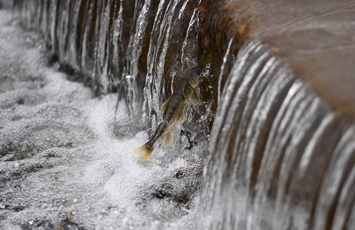 生态中国·一碧青海润三江