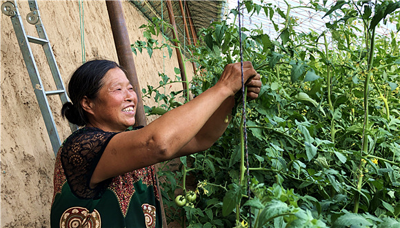 联合党委促发展 内蒙古首个“摘帽”国贫县的新气象