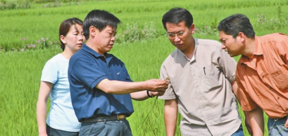 朱有勇在田间讲解作物病虫害防治