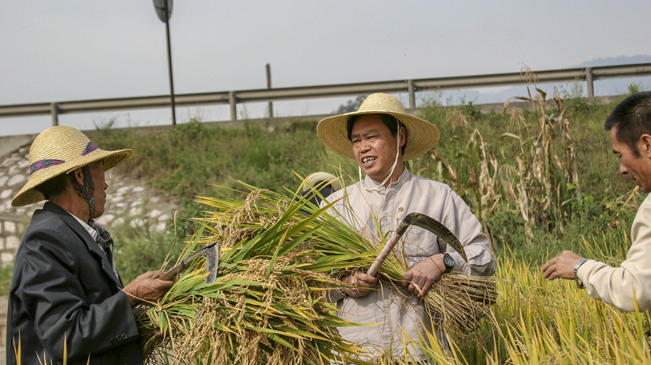 “农民院士”朱有勇