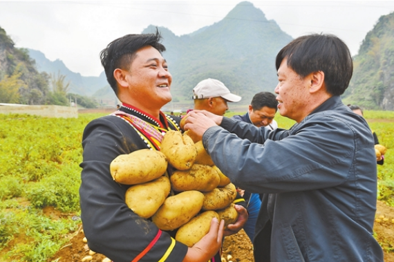 “农民院士”朱有勇：将论文写在大地 把农民装在心中