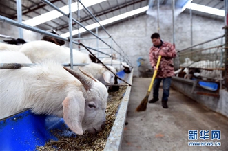 安徽霍邱：我是“自强脱贫户”