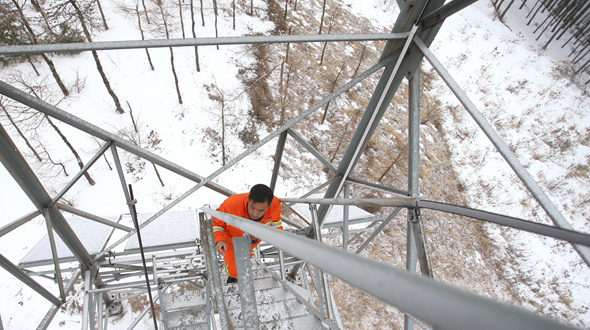六盘山里的“守望者”