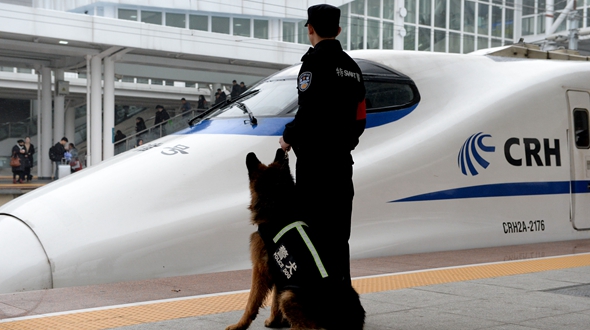 警犬“神威” 护航春运