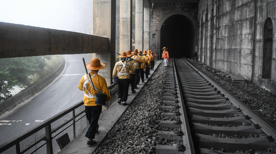 云雾之巅的“爬山虎”