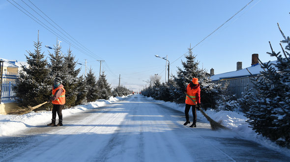 大兴安岭南麓的期盼与回响