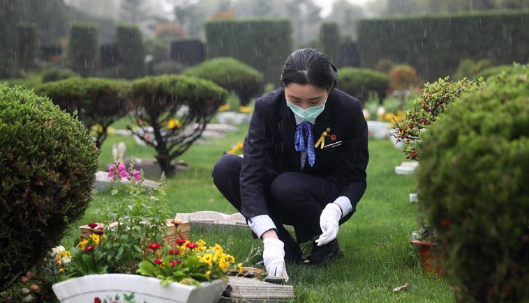 错峰预约、集中代祭、“云”端祭扫——各地清明节前夕祭扫见闻