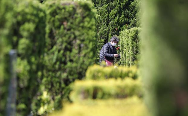 上海：云祭扫、代祭服务等成为市民新选择