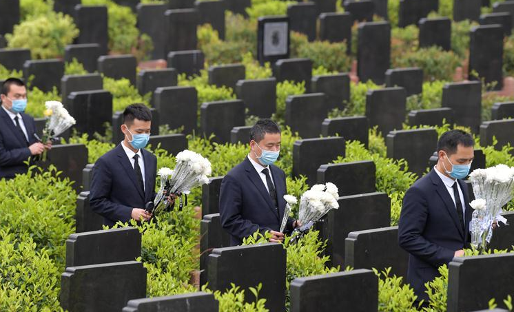 别样清明一样情