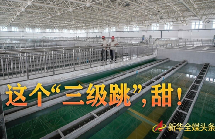 这个&ldquo;三级跳&rdquo;，甜！