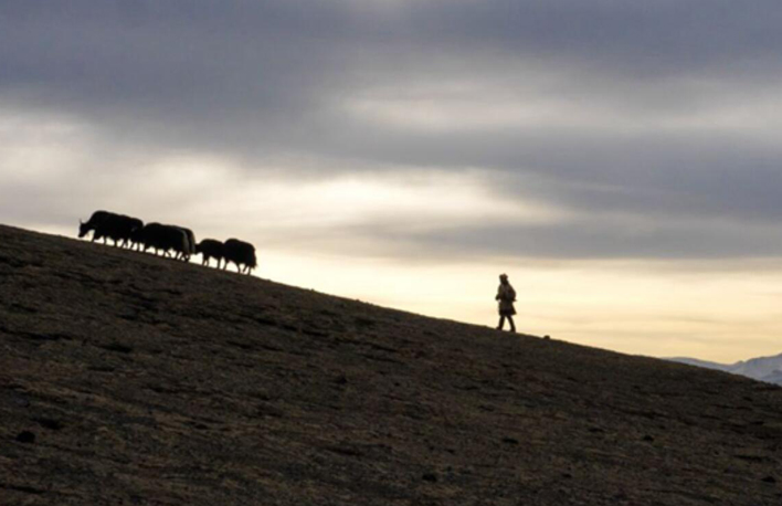 幸福来敲门丨普次仁的&ldquo;新牧场&rdquo;