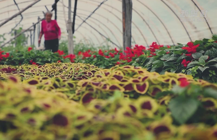 幸福来敲门丨多彩长卷&middot;黑土地