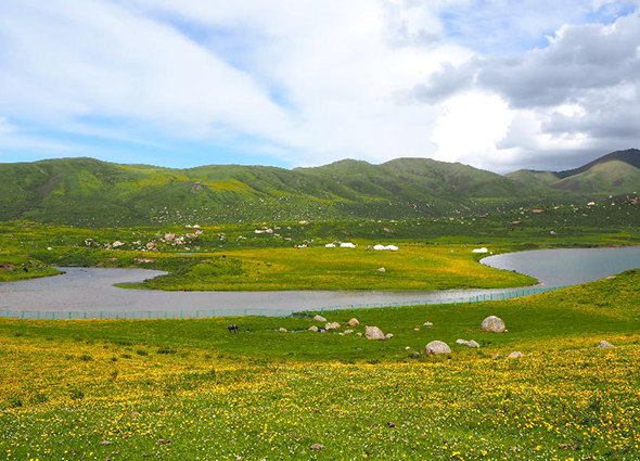 綠水青山築起脫貧致富路——走訪青海藏區看變化