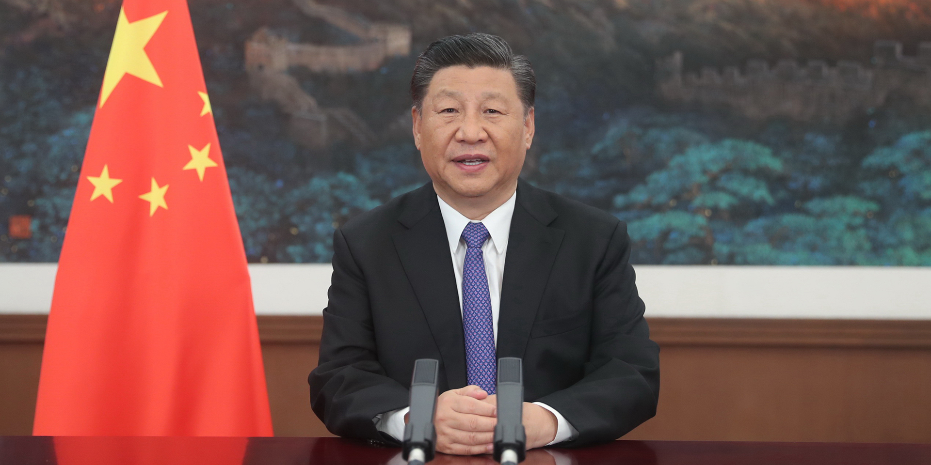 2020年阿根廷二季度G_阿根廷杜高犬(3)