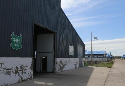 百年养牛大镇的产业进阶路