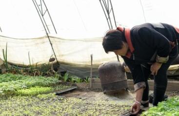 兵团上半年新增市场主体1.69万户