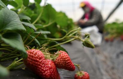 严格措施毫不放松 做好保障精准施策