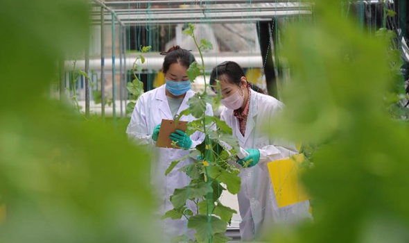 沈阳农大：研究生的暑期生活