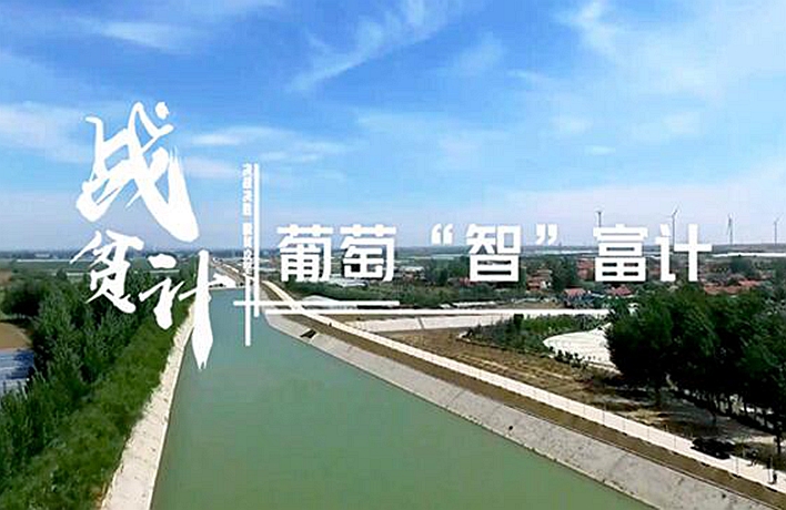 战贫计丨葡萄&ldquo;智&rdquo;富计