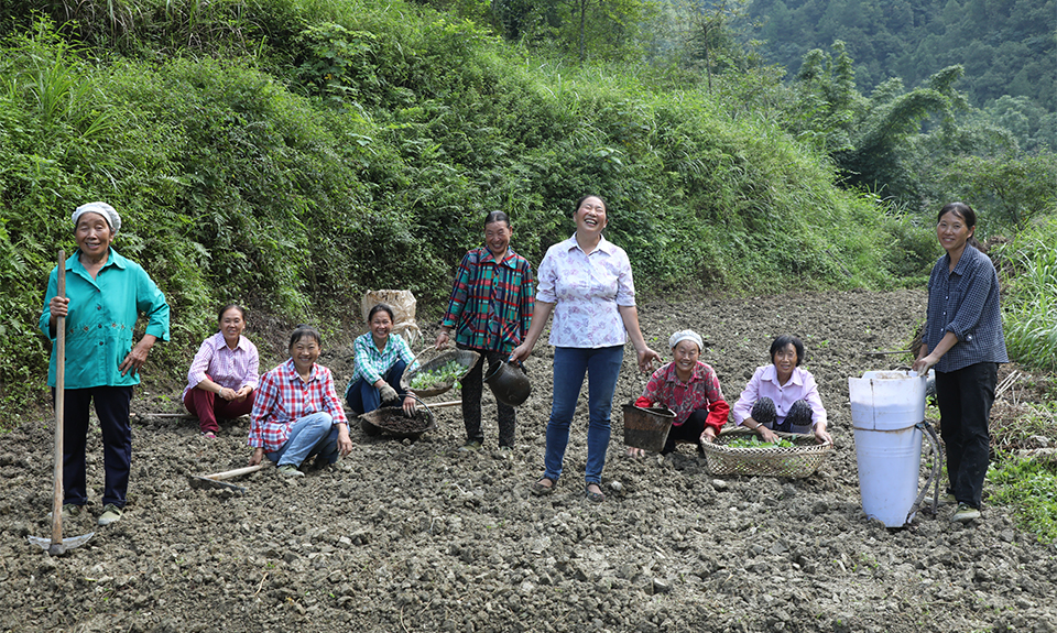 “九个山嫂”唱出一台“脱贫大戏”