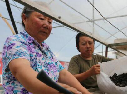 张大妈家的一把木耳