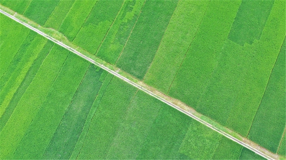 “飞阅”云南广南大田村：绿野青山 绘出田园好风光