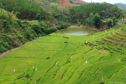 航拍云南澜沧马鞍山 烟雨蒙蒙鸡犬声