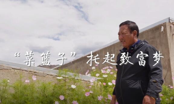 “菜篮子”托起致富梦