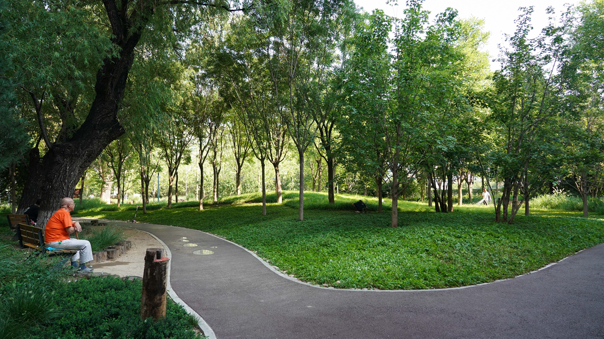 北京：老百姓家门口的绿地公园
