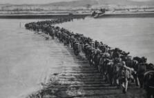 一别多年，归来已是忠魂——6位归国志愿军烈士的家国故事