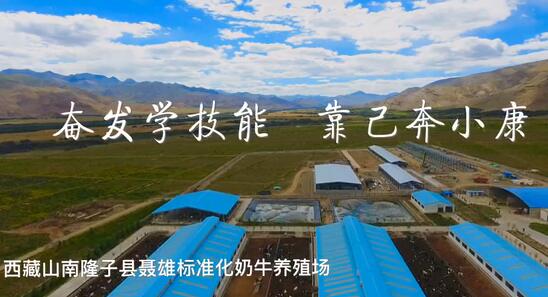 奋发学技能 靠己奔小康