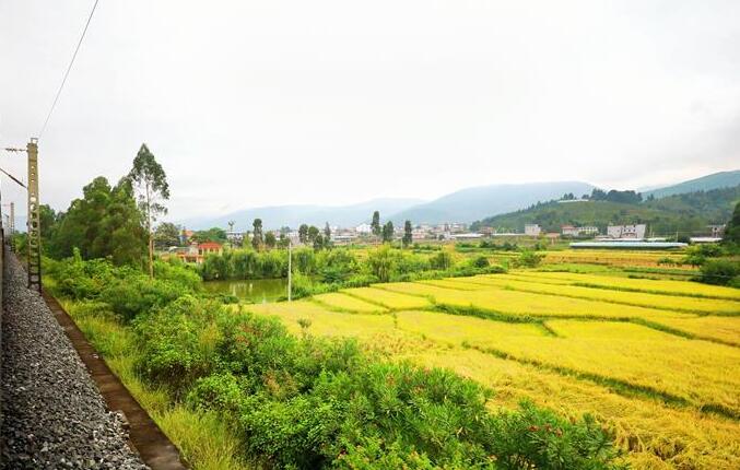 坐着高铁看中国｜走成昆，感受闯过禁区的光影记录