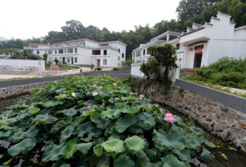 从&ldquo;单一治理&rdquo;到&ldquo;全局治理&rdquo;：赣南老区展示生态新画卷