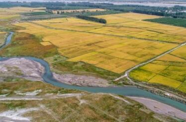 荒漠林海生新&ldquo;芽&rdquo;：新疆阿克苏柯柯牙绿化工程再升级