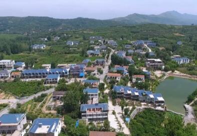 山东蒙阴：&ldquo;树上&rdquo;的风景