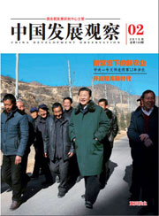中国发展观察