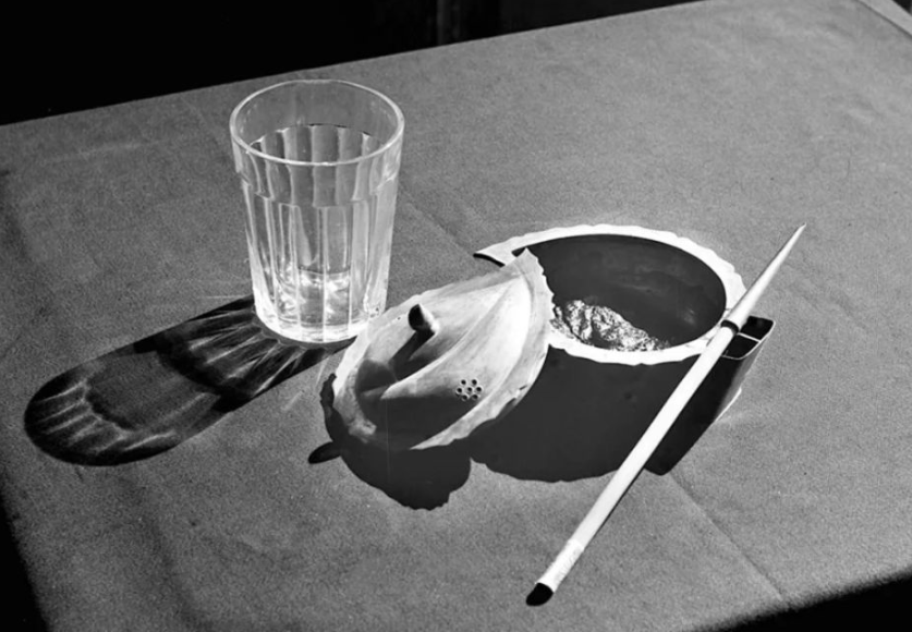 这个真实的故事，55年来感动了几代人！