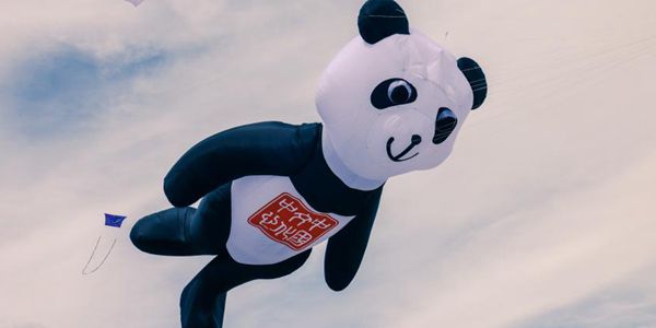 新西兰举行奥塔基风筝节