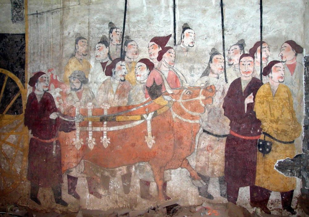 牛为什么这么牛？看完你就懂了