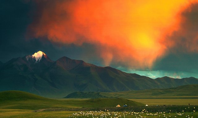 牧羊好似珍珠撒