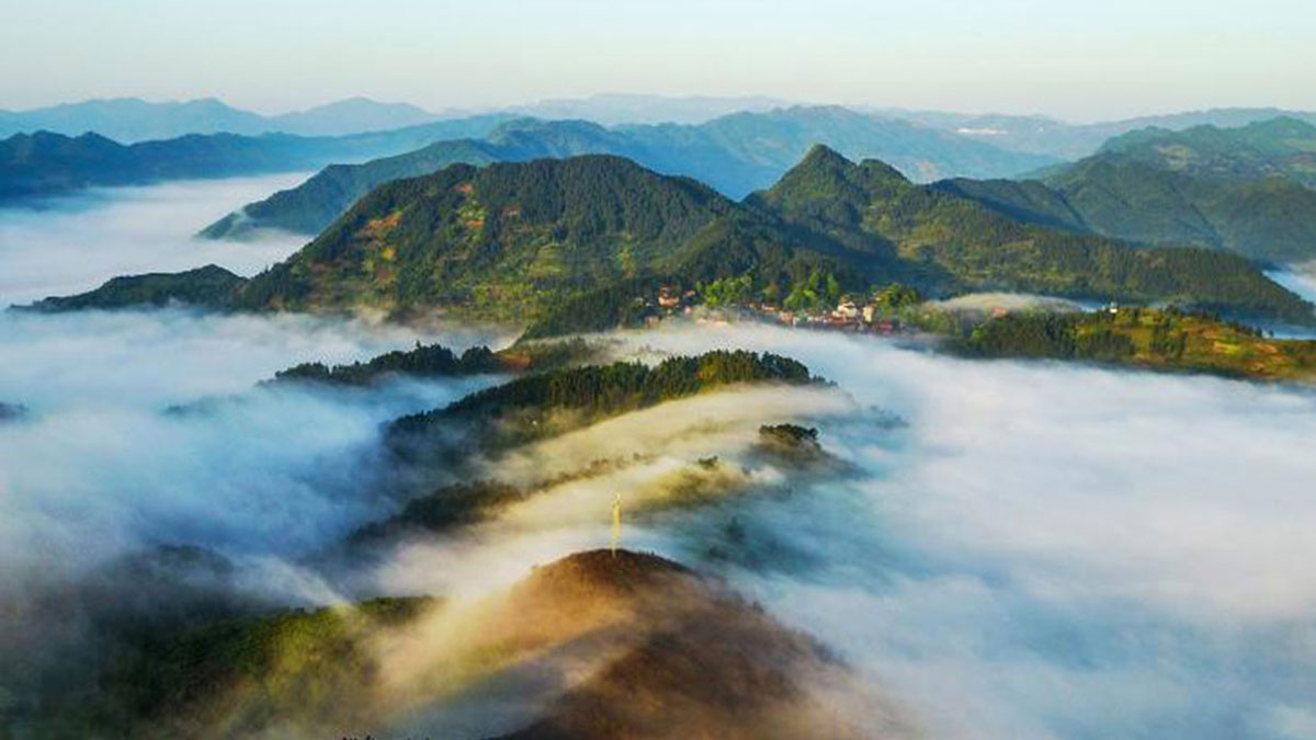 林下“裂变”山间“藏宝”——国家生态文明试验区贵州的“绿色减贫”之路