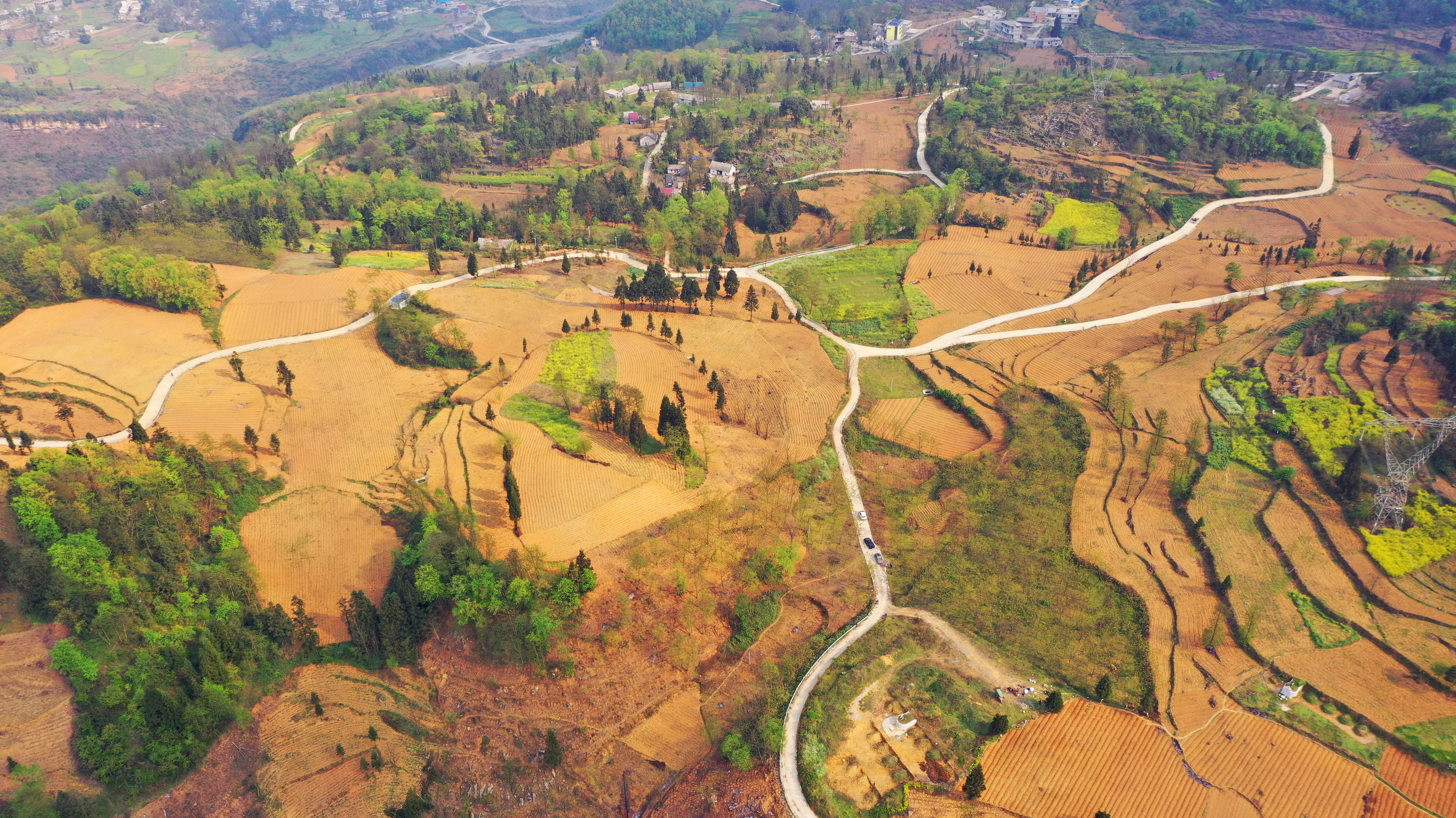 献给在脱贫攻坚战场牺牲的英烈