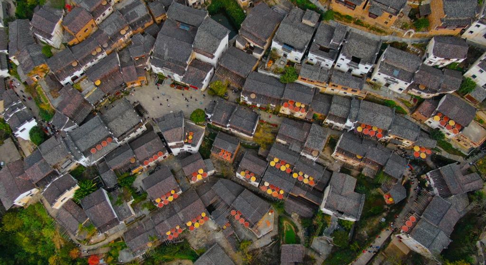 在路上，邂逅“诗与远方”