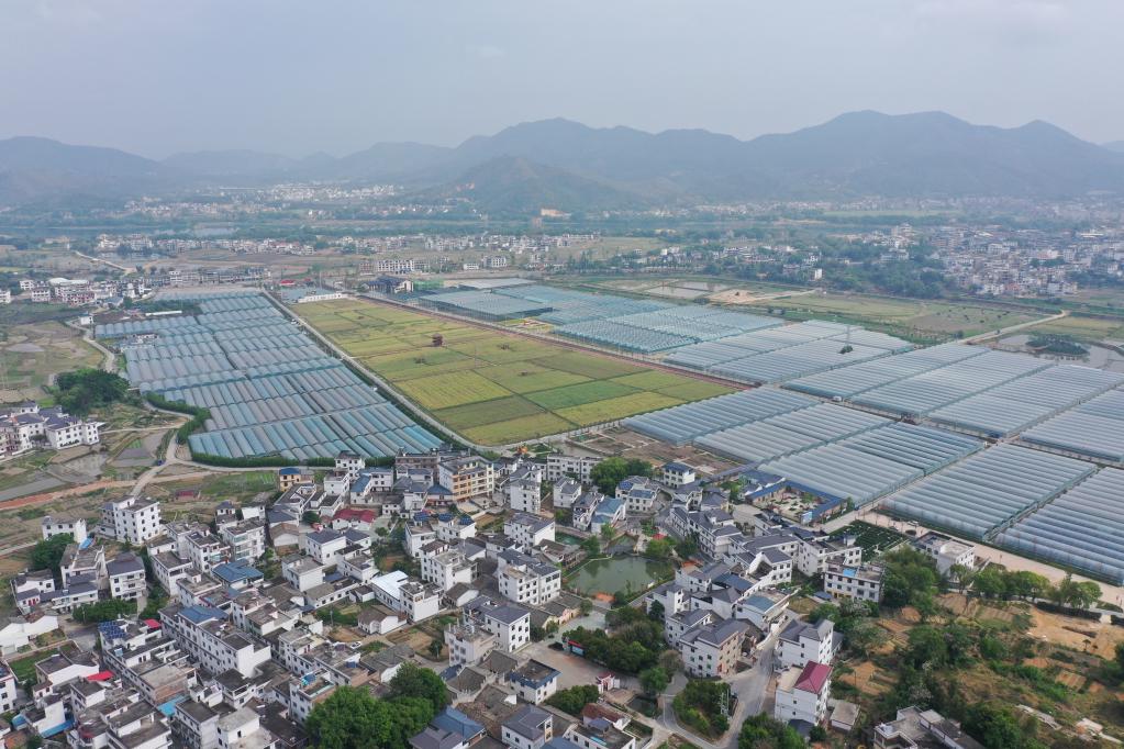 江西于都：以不渝初心走好新长征路