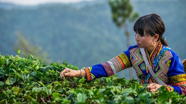 伟大实践为“中国减贫学”提供理论基石