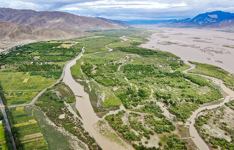 西藏雅鲁藏布江中游的“绿色奇迹”
