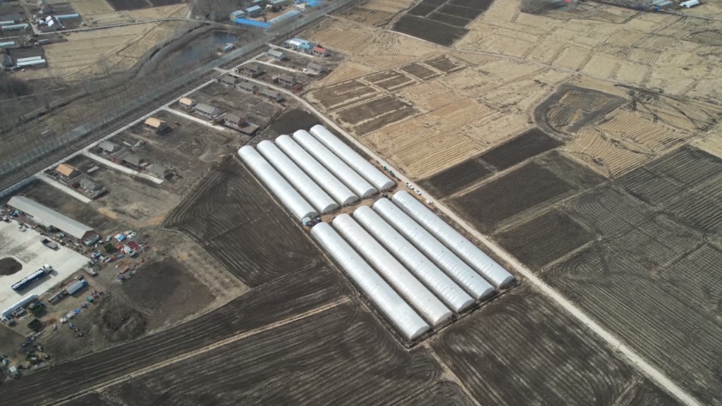 不让疫情误农情！农业大省吉林打通堵点&ldquo;硬核&rdquo;备春耕